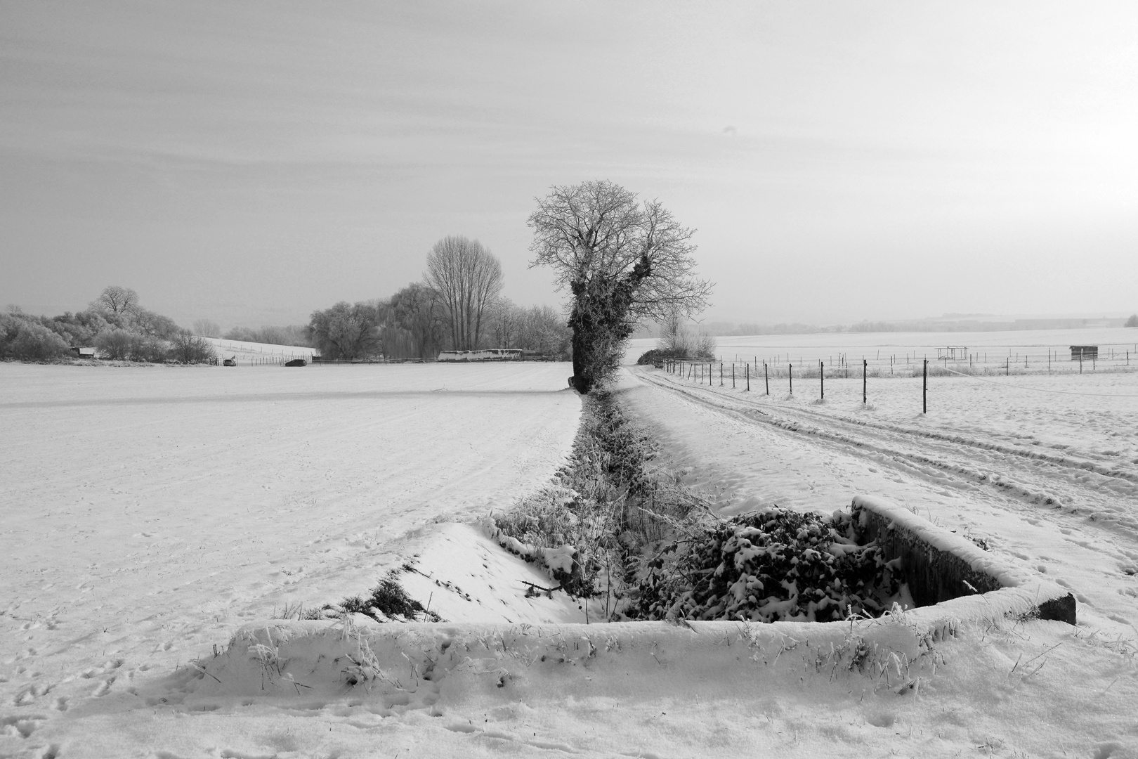 Rheinhessen im Schnee...
