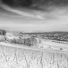 Rheinhessen im Winterkleid 