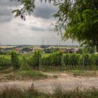 Rheinhessen IV