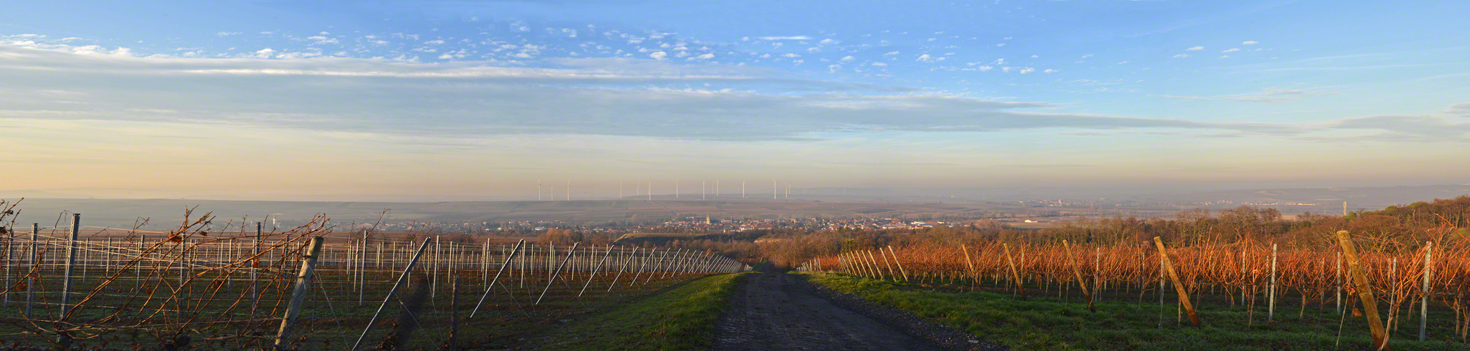 Rheinhessen-Pano, zylindrisch