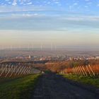 Rheinhessen-Panorama