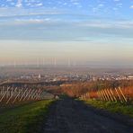 Rheinhessen-Panorama