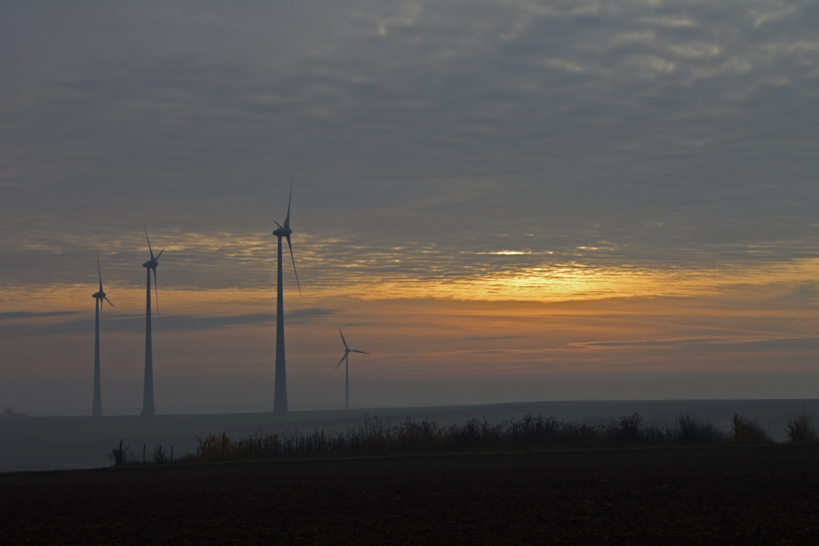 Rheinhessen Power