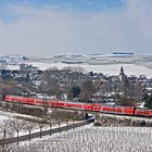 Rheinhessen-Spätwinter