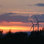 Rheinhessen-Sunset - VI -