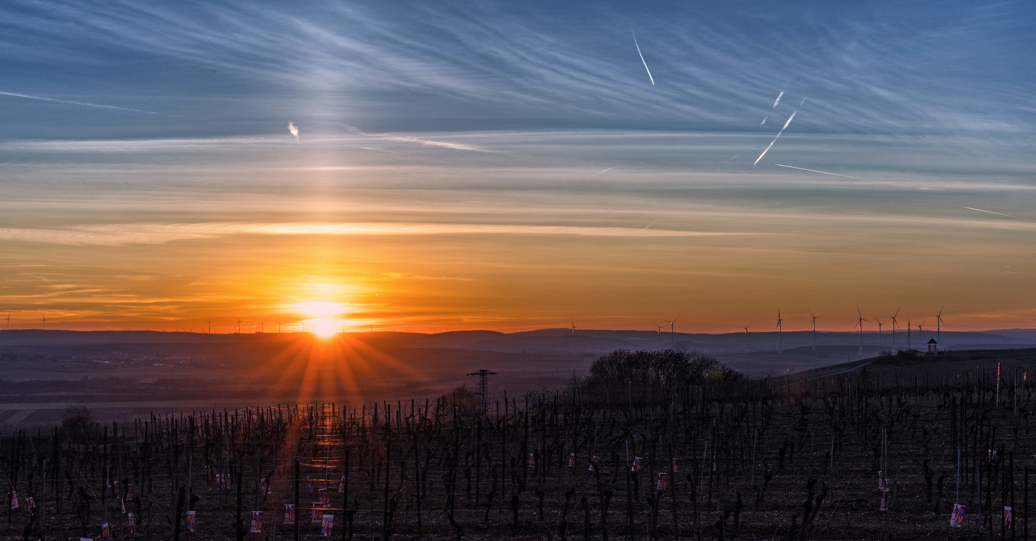 Rheinhessen-Sunset - XXXII -