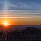 Rheinhessen-Sunset - XXXII -