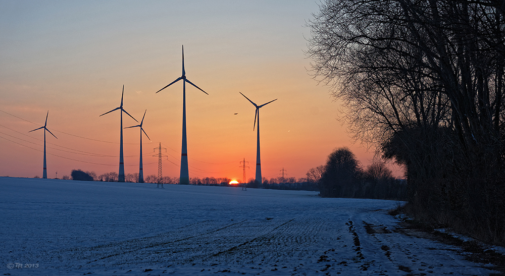 _Rheinhessen-Sunset_V