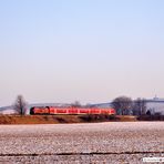 Rheinhessen - Winter I