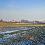 Rheinhessen-Winter - V -