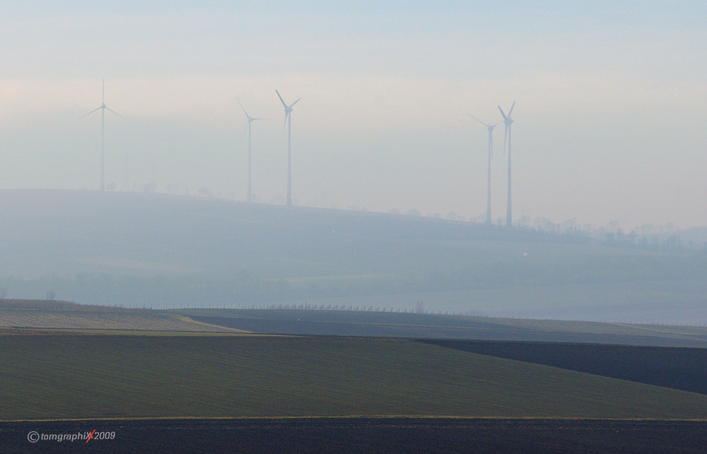 Rheinhessen - Winter - V -