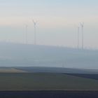 Rheinhessen - Winter - V -