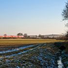 Rheinhessen-Winter - VI -