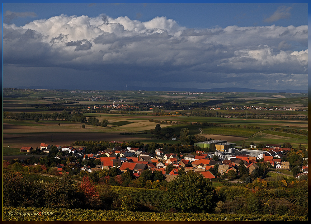 Rheinhessenblick