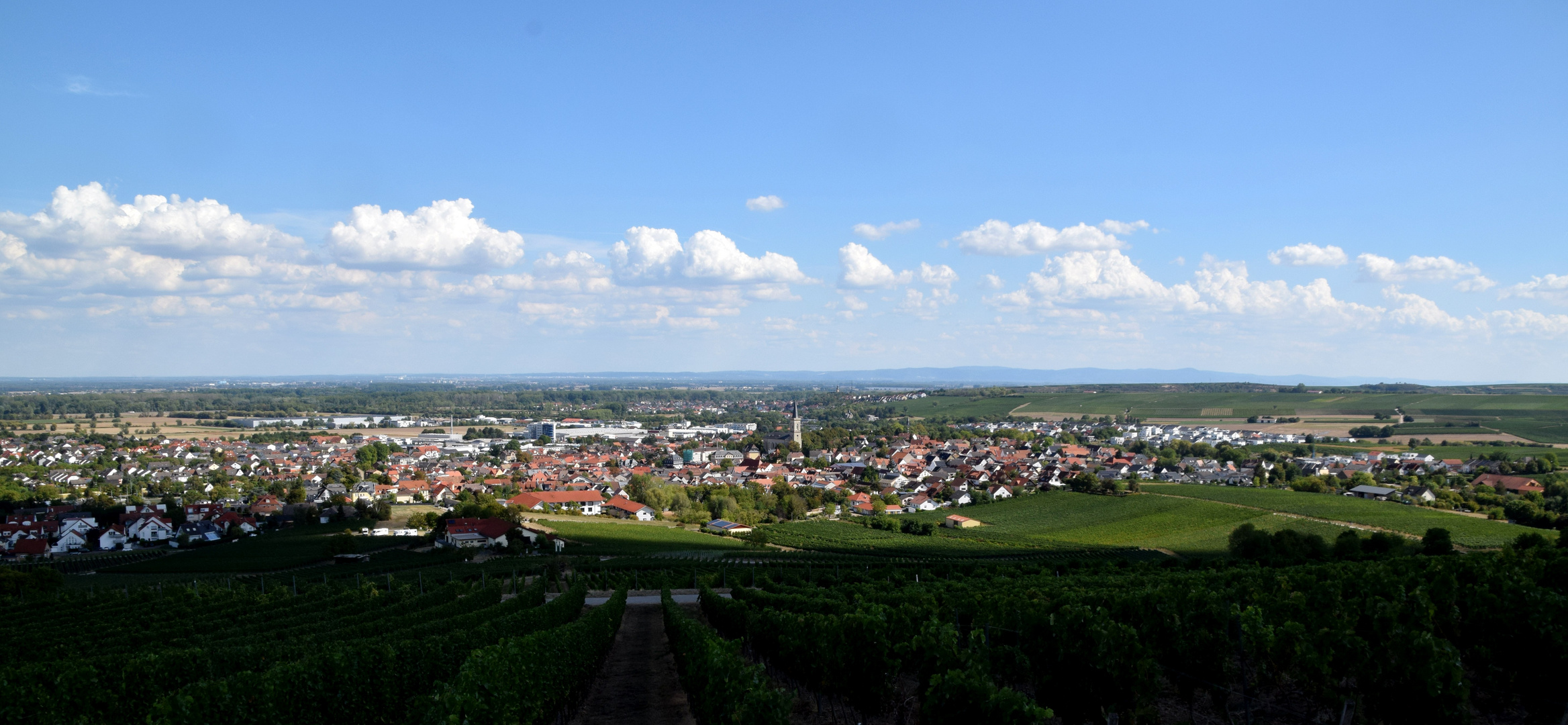 Rheinhessenblick