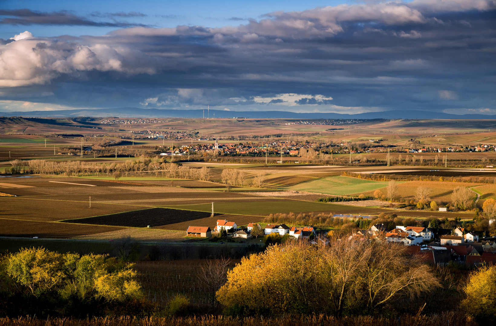 Rheinhessen_Blick