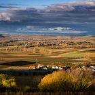 Rheinhessen_Blick