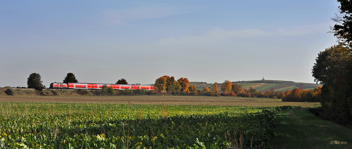 RheinhessenHerbst