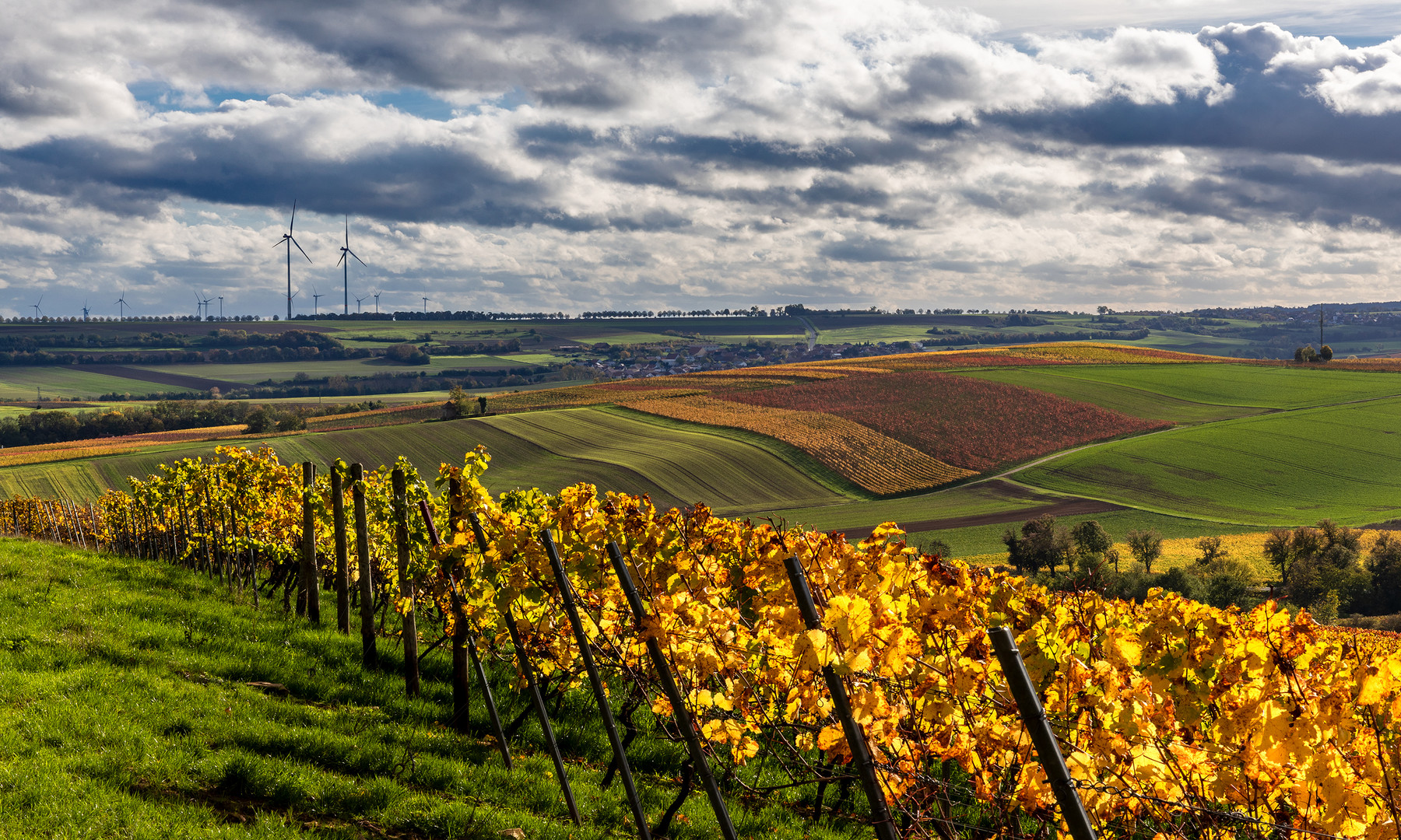 RheinhessenHerbst  - III - 