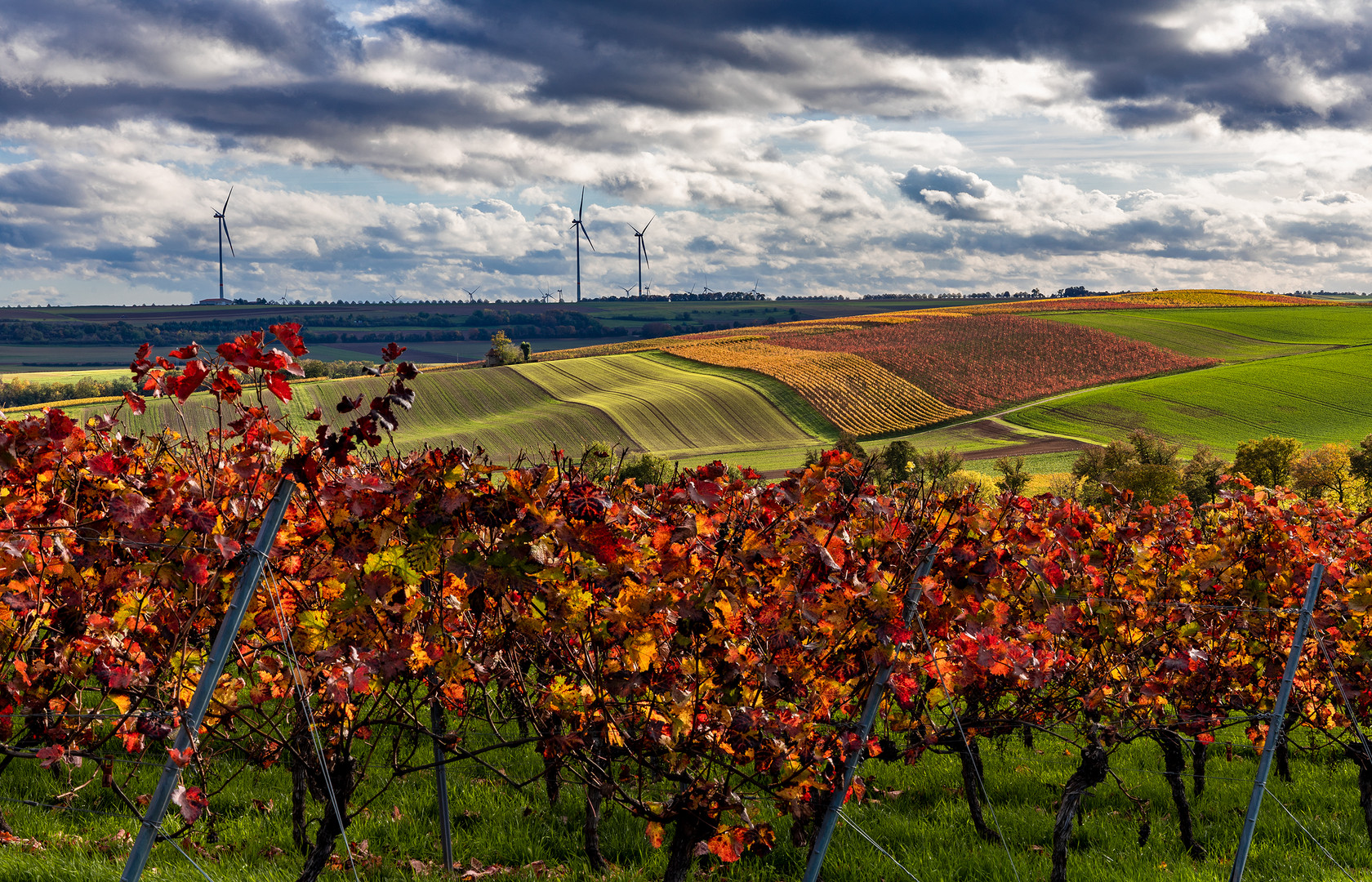 RheinhessenHerbst  - IV -