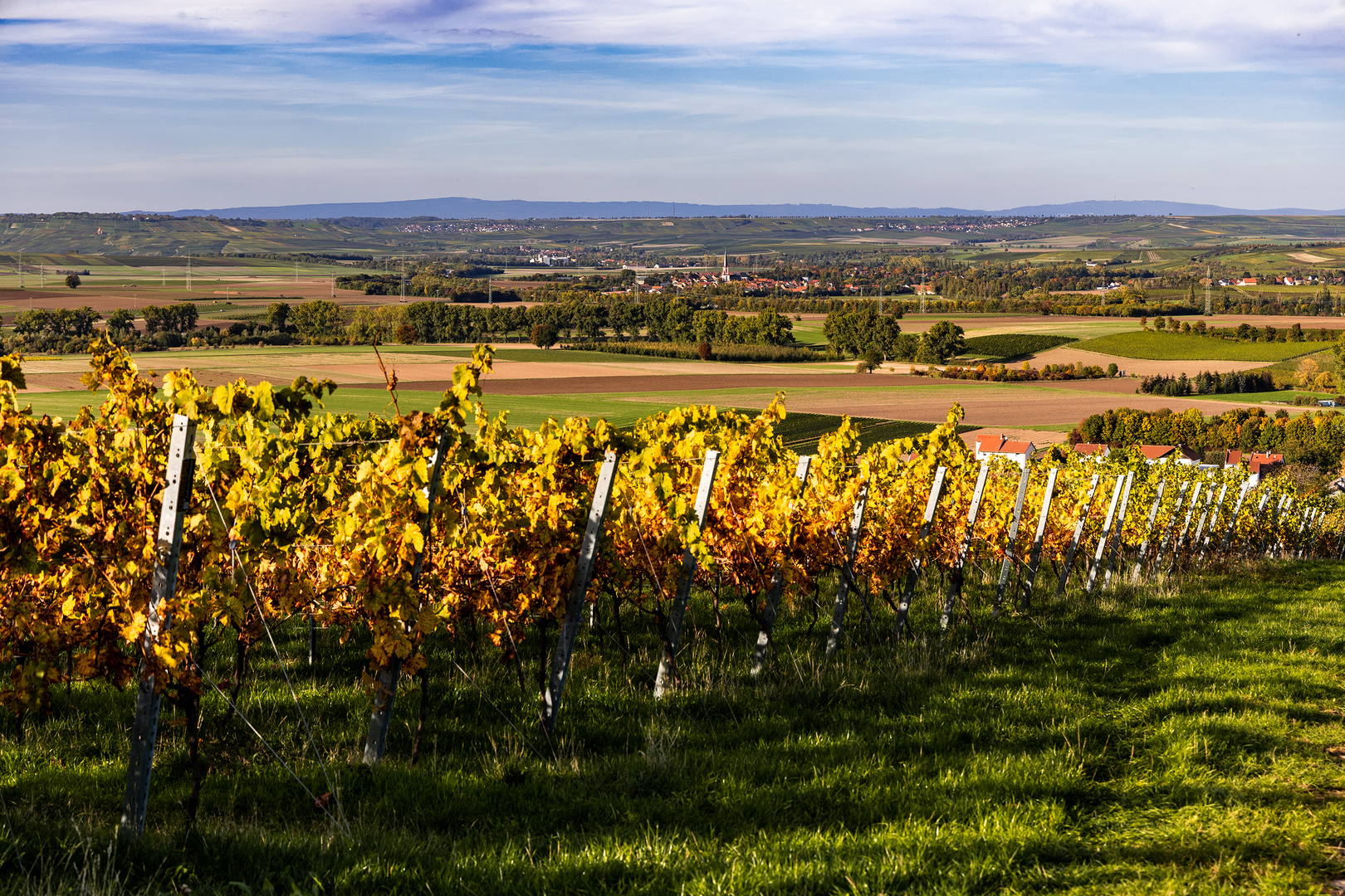 RheinhessenHerbst - V -