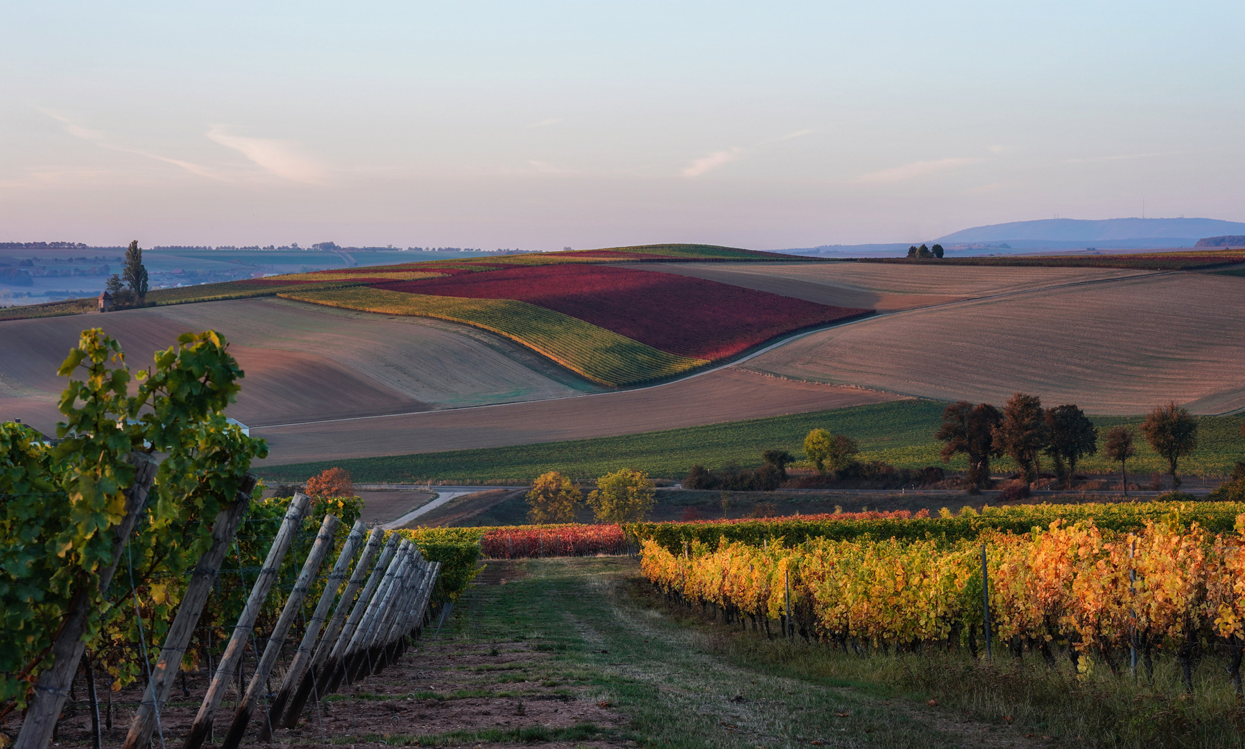 RheinhessenHerbst - VI - 