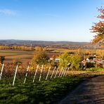 RheinhessenHerbst - VI -