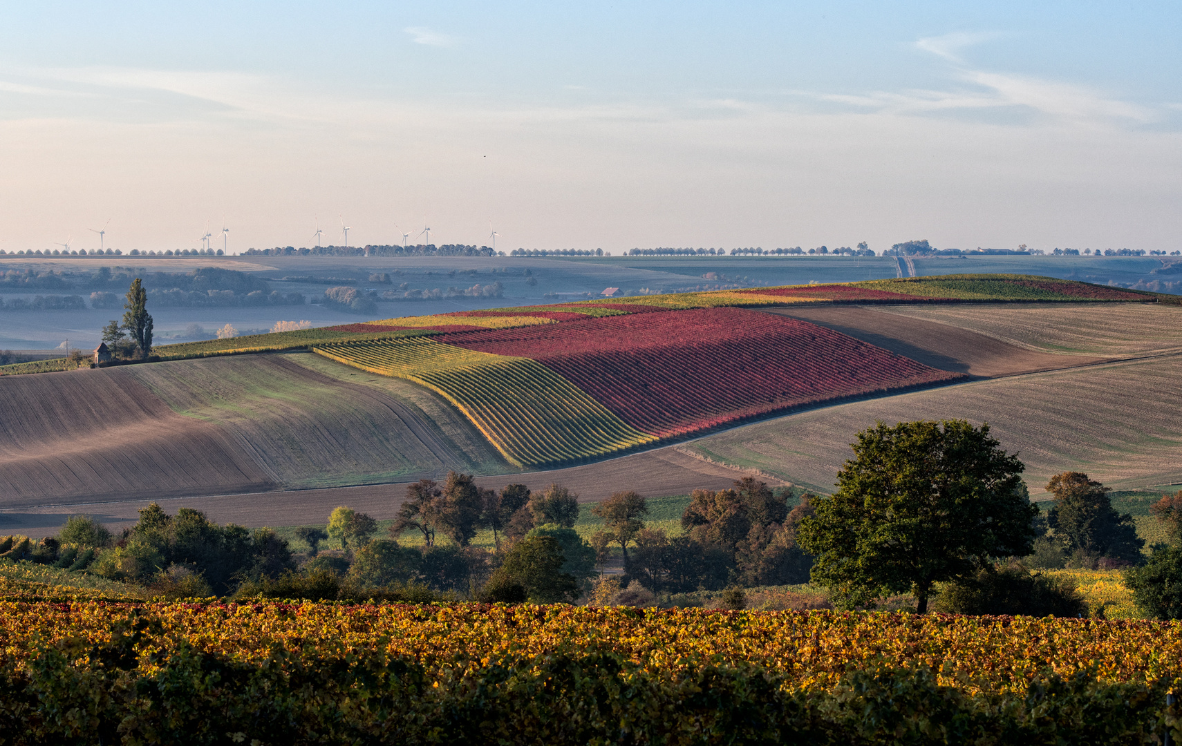 RheinhessenHerbst - X -