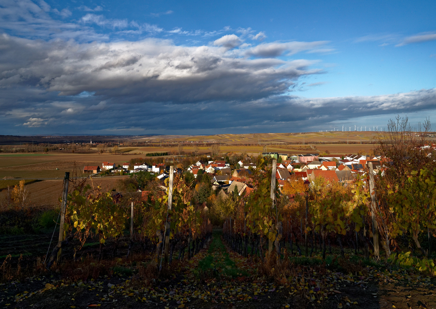 RheinhessenHerbst - XII -