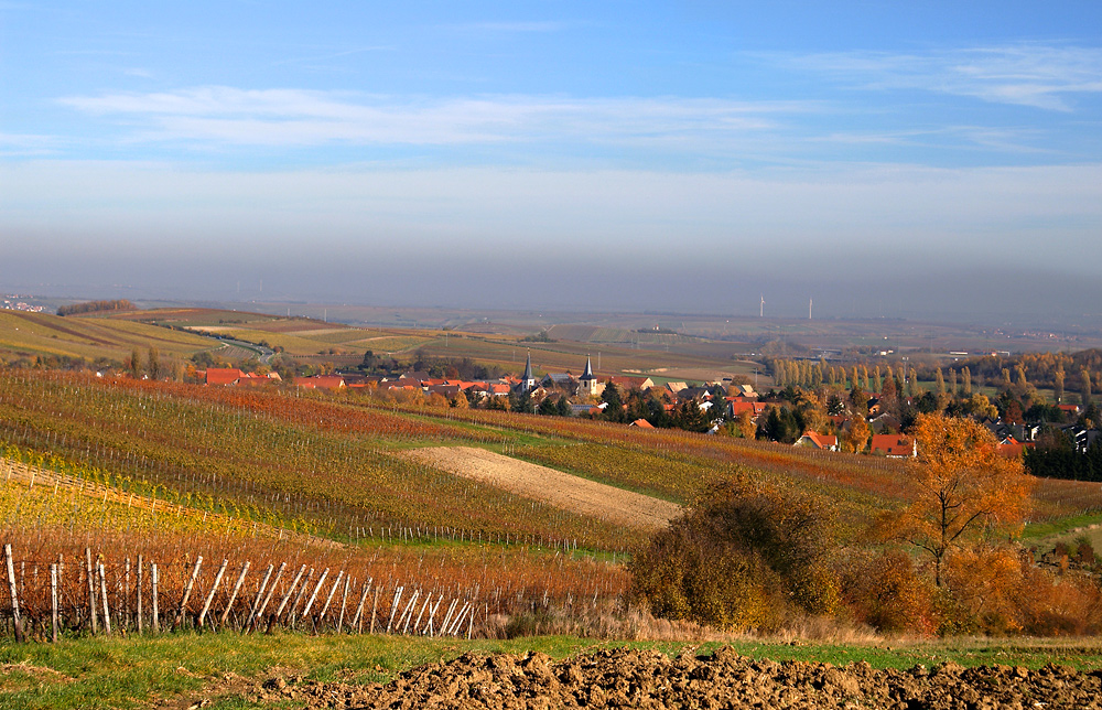 RheinhessenLandschaft