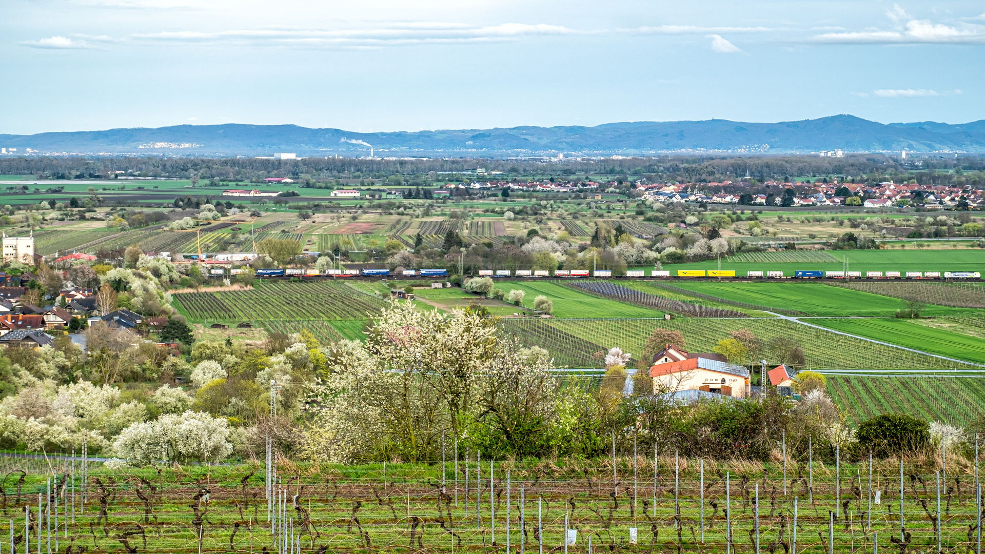 Rheinhessens Landschaft