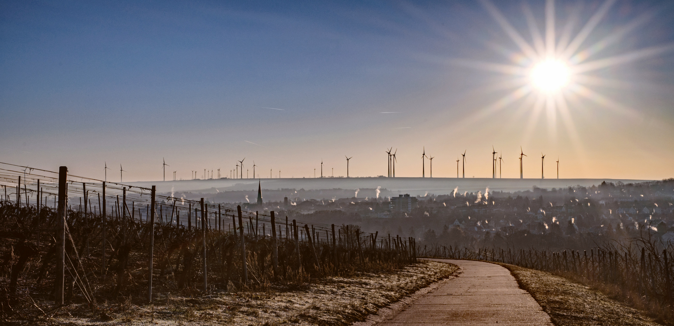 Rheinhessen_Sunrise - III -