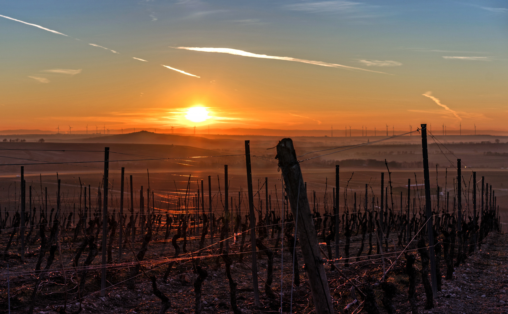 Rheinhessen_Sunrise - V - 