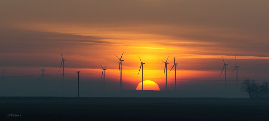 _Rheinhessen_Sunset_