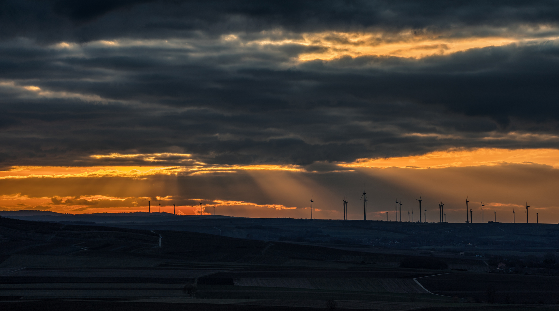 Rheinhessen_Sunset - XXI -