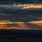 Rheinhessen_Sunset - XXI -