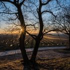 Rheinhessen_Sunset - XXVI -