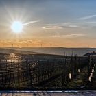 Rheinhessen_Sunset XXVIII -