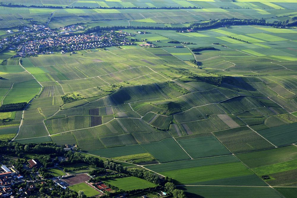 Rheinhessische Hügel