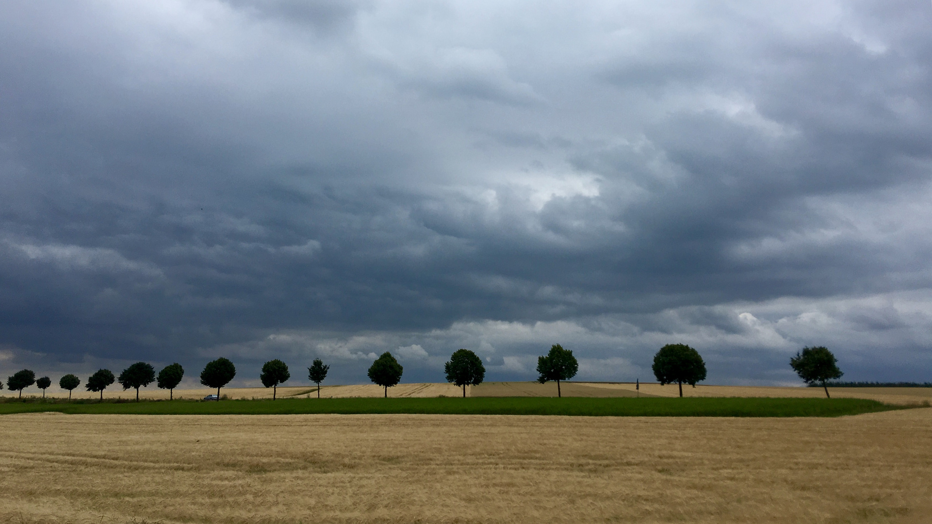 Rheinhessische Landschaft