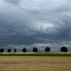 Rheinhessische Landschaft