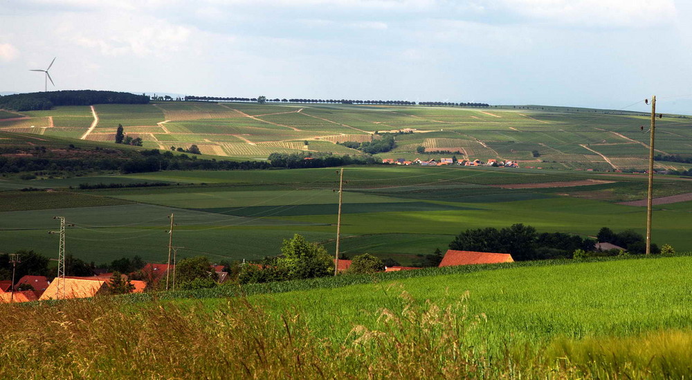 Rheinhessische Schweiz Rheinhessische Schweiz