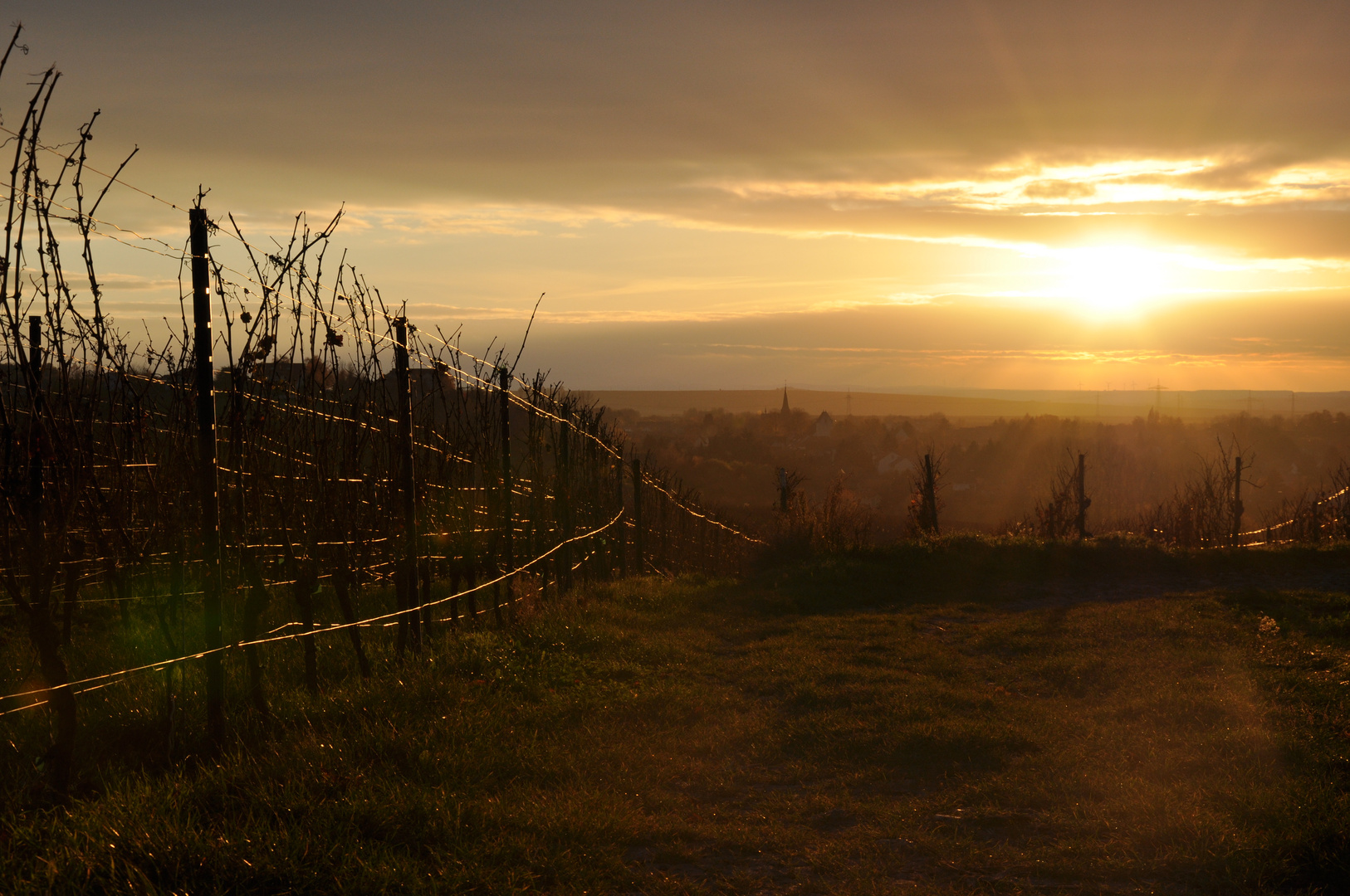 Rheinhessische Toscana - Weinberge in Rheinhessen beim Sonnenuntergang