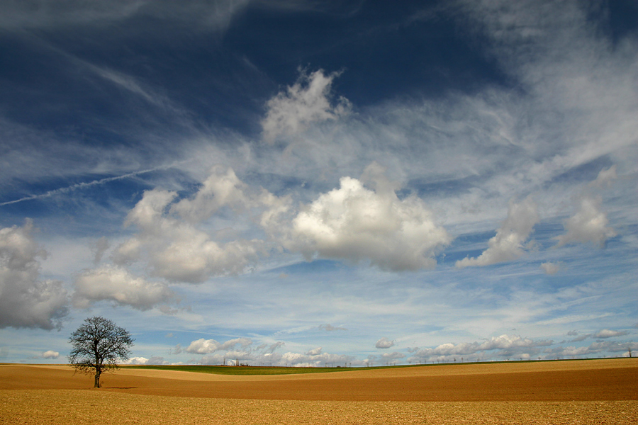 rheinhessische Weite