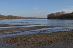 Rheinhilde im Rhein 01