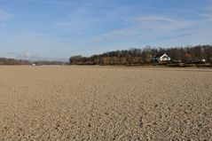 Rheinhilde im Rhein 02