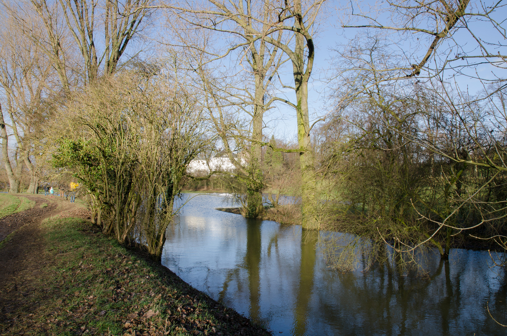 Rheinhochwasser 01