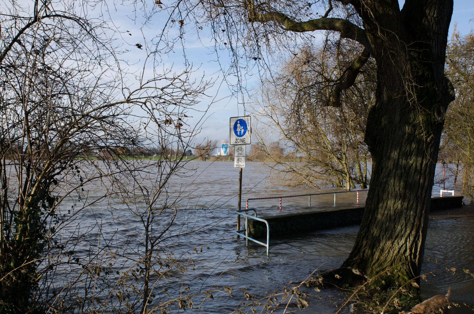 Rheinhochwasser 03