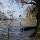 Rheinhochwasser 03