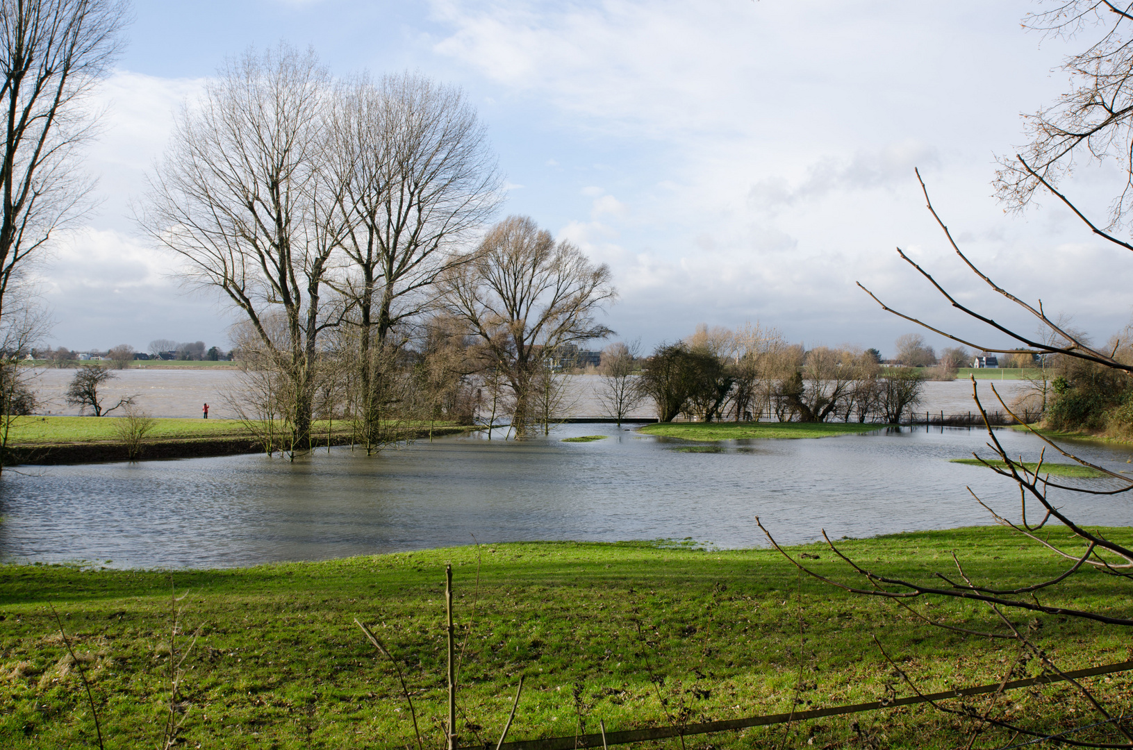 Rheinhochwasser 04